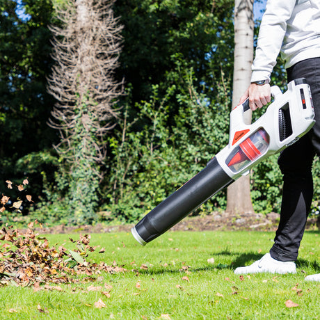 Vitinni 40v Cordless Leaf Blower Set