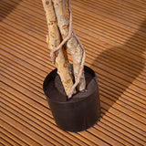 Alfresia Montego Bay Artificial Plant - Tall 170cm Shrub, Suitable for Indoor or Outdoor Use