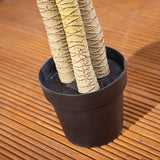 Alfresia Mauritius Artificial Plant - Thin Leaf, Suitable for Indoor or Outdoor Use