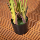 Alfresia Aruba Artificial Plant - Wide Leaf, Suitable for Indoor or Outdoor Use