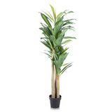 Alfresia Mauritius Artificial Plant - Thin Leaf, Suitable for Indoor or Outdoor Use